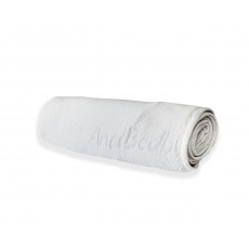 ANTI BED BUG pro-anti-bed-bug
