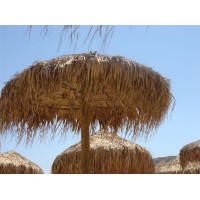FUN PALM ομπρέλα ΞΥΛΙΝΗ με ΨΑΘΑ / ΔΙΑΣΤΑΣΗ ΕΠΙΛΟΓΗΣ